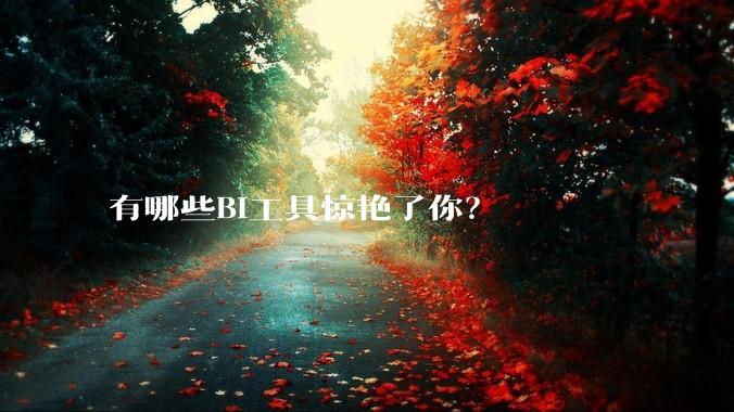 有哪些BI工具惊艳了你？
