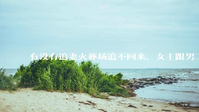 有没有追妻火葬场追不回来，女主跟男二收获幸福，男主后悔莫及的文？