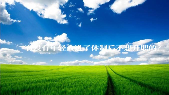 有没有年轻人进了体制后不想升职的？