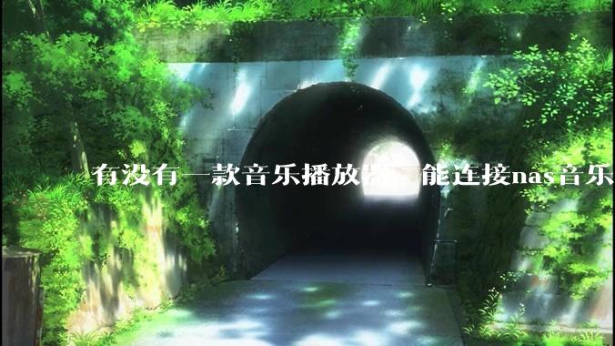 有没有一款音乐播放器，能连接nas音乐，创建音乐库，自动匹配歌词封面等等？类似infuse的概念呢？