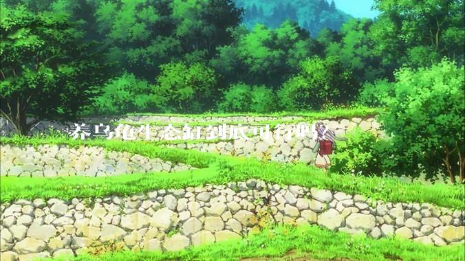 养乌龟生态缸到底可行吗？
